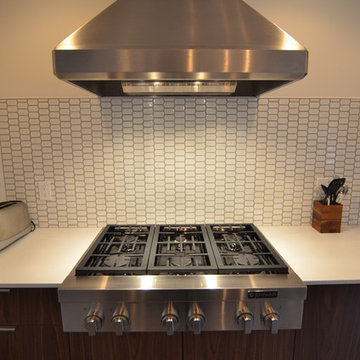 Modern  Whole Home Design-Kitchen