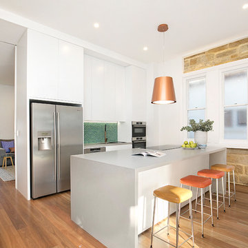 Modernised Family Home in Lilyfield