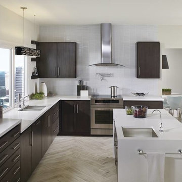Moen Tilt Modern Wood Kitchen