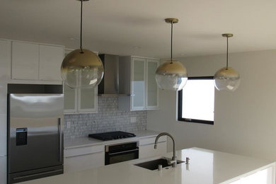 Example of a kitchen design in San Francisco