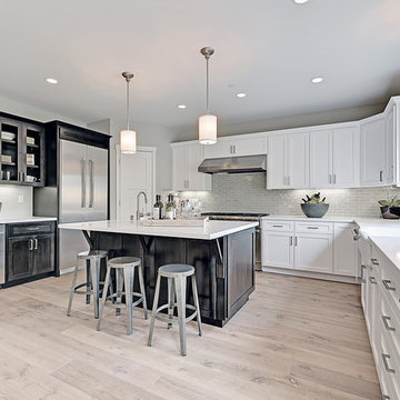 Monte Sereno Transitional New Home Build