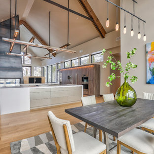 Contemporary kitchen appliance - Inspiration for a contemporary kitchen remodel in Denver