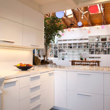 My Houzz: A Big, Empty Box Becomes a Mod Live-Work Space