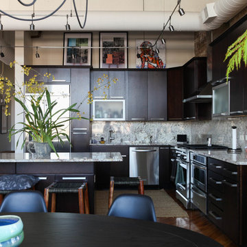 My Houzz: A Restaurateur’s Lush and Luxe Chicago Loft