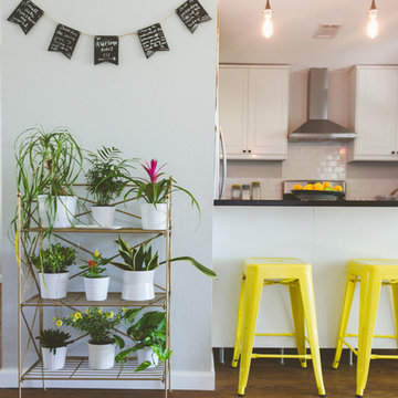 My Houzz: Blood, sweat and tears into a vintage eco friend Austin home