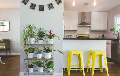 10 Positively Great Display Ideas for Your Houseplants