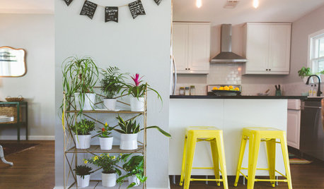 10 Positively Great Display Ideas for Your Houseplants