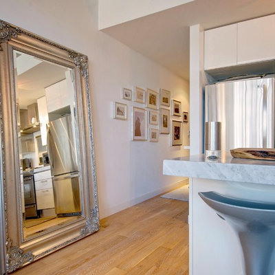 Kitchen - contemporary kitchen idea in Toronto