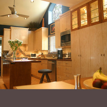 Navy & rust contemporary kitchen