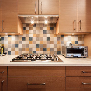 Neo-Modern Style Kitchen in Glencoe