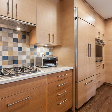 Neo-Modern Style Kitchen in Glencoe