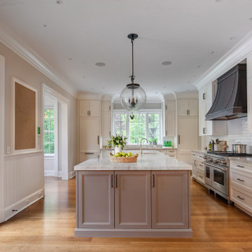 NEW CANAAN CT - Weimaraner