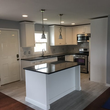 New Kitchen in Western Springs