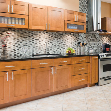 Newport Kitchen Cabinets - LessCare Cabinetry