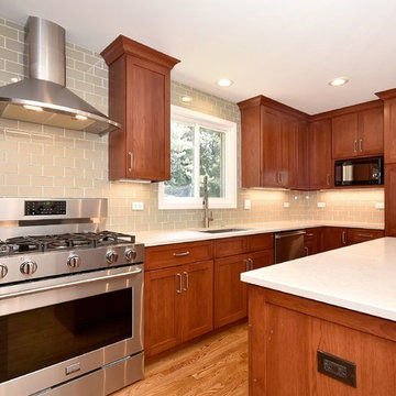Northbrook Kitchen Remodel