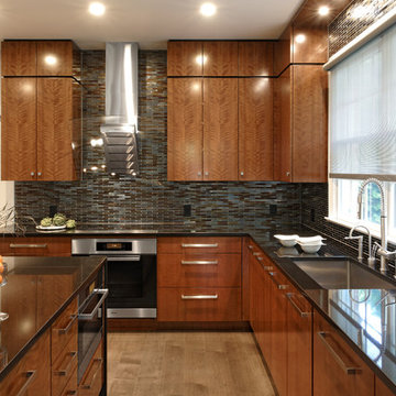 Northwest Washington D.C. - Contemporary - Kitchen Design