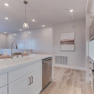 Open concept kitchen appliance - Inspiration for a single-wall open concept kitchen remodel in San Francisco with an undermount sink, recessed-panel cabinets, stainless steel appliances and an island