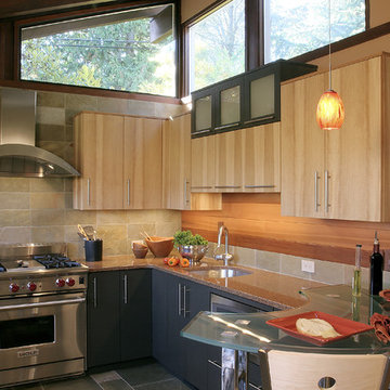 NW Contemporary Kitchen