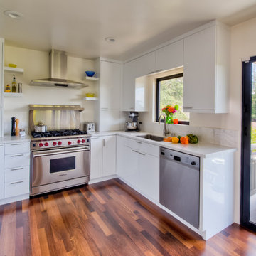 Oakland/Piedmont Kitchen Remodel
