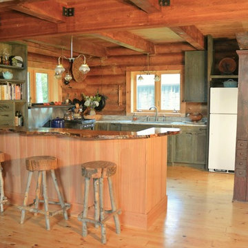 Off-the-grid Adirondack Rustic kitchen