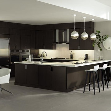 Omega Cabinetry: Clean and Contemporary Kitchen