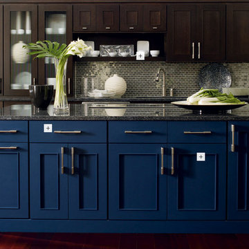 Omega Cabinetry Contemporary