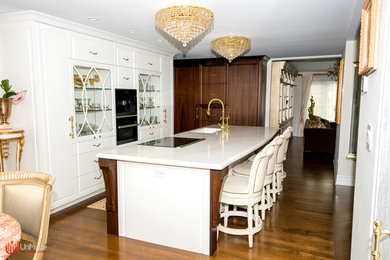 Diseño de cocina clásica renovada grande con puertas de armario blancas, suelo de madera oscura y una isla