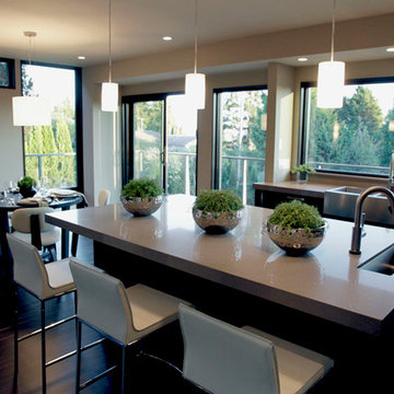 Open Concept Kitchen & Dining