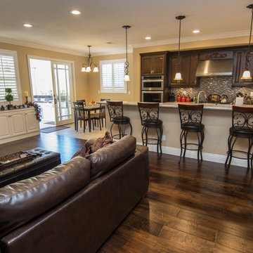 Open Concept Kitchen and Family Room