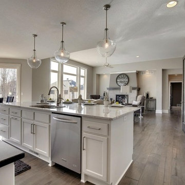 Open Kitchen and Family Room