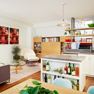 Open Plan Living Room and Kitchen - Williamsburg Renovation