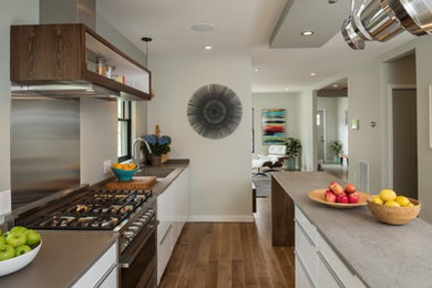 Eat-in kitchen - large contemporary galley dark wood floor eat-in kitchen idea in Boston with flat-panel cabinets, an undermount sink, white cabinets, quartz countertops, stainless steel appliances and an island