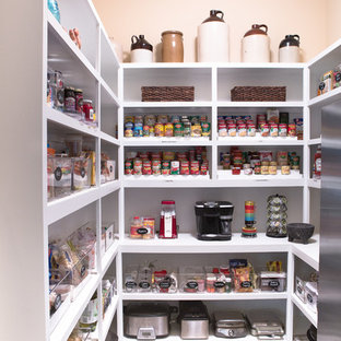Design ideas for a mid-sized contemporary kitchen pantry in Richmond with open cabinets and white cabinets.