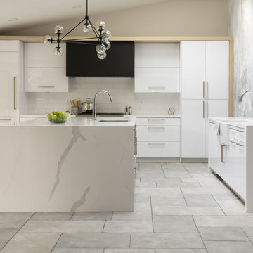 Orinda Urban Modern Kitchen