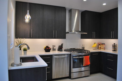 Design ideas for a modern kitchen in Ottawa.