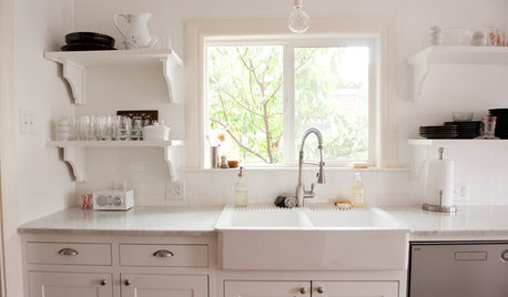 Kitchen Sinks: Easy-Clean, Surprisingly Affordable Ceramic