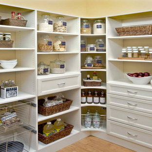 Mid-sized transitional kitchen pantry appliance - Mid-sized transitional medium tone wood floor and brown floor kitchen pantry photo in New York with recessed-panel cabinets and white cabinets