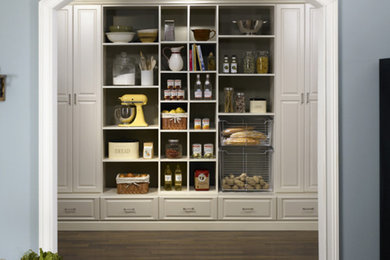 Mid-sized transitional dark wood floor kitchen pantry photo in Chicago with raised-panel cabinets and white cabinets