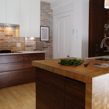 Outremont Mid Centurty Kitchen