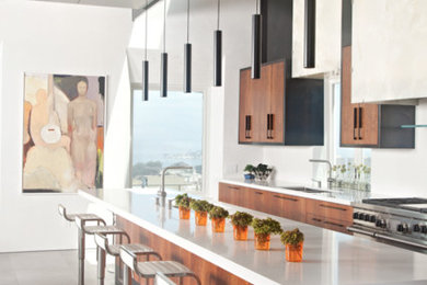 サンフランシスコにある巨大なコンテンポラリースタイルのおしゃれなキッチン (フラットパネル扉のキャビネット、アンダーカウンターシンク、シルバーの調理設備) の写真