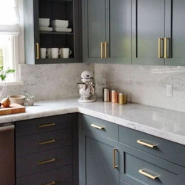 https://www.houzz.com/hznb/photos/painted-cabinets-contemporary-kitchen-columbus-phvw-vp~150435345
