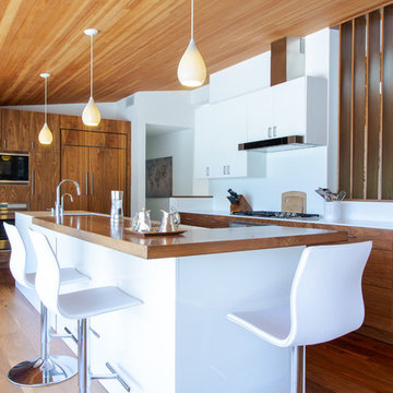 Palisades Contemporary kitchen