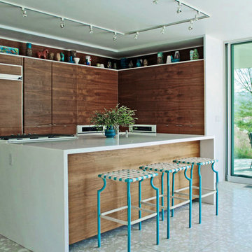 Palm Springs Modern Kitchen Cabinets