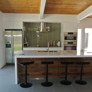 Palm Springs Modern with Ikea Kitchen