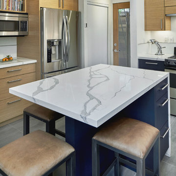 Palo Alto Contemporary Kitchen Redesign