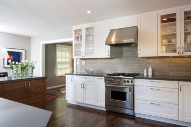 This is an example of a medium sized contemporary kitchen in San Francisco.