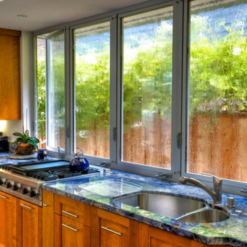Palo Alto Modern Home Kitchen