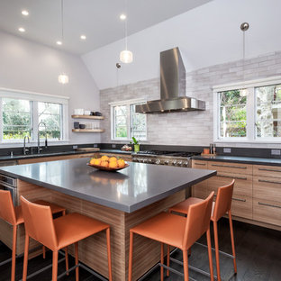 Palo Alto Transitional Style Tudor