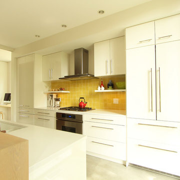 Paneled Refrigerator Blends Seamlessly Into the Kitchen