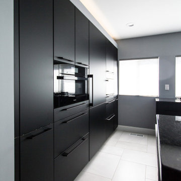 Pantry and Inset Appliances